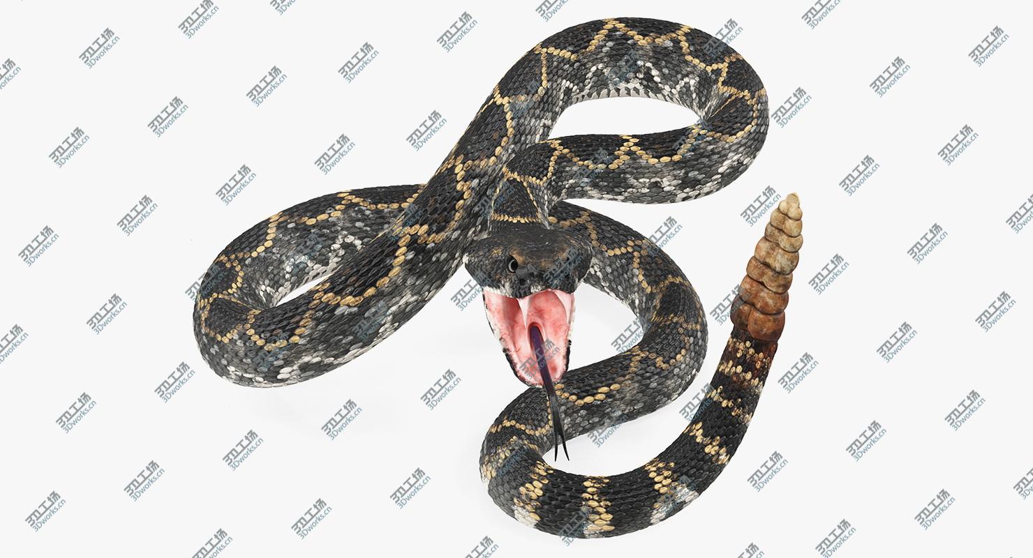 images/goods_img/202105072/3D model Dark Rattlesnake Attack Pose 3D Model/2.jpg